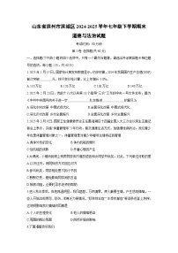 山东省滨州市滨城区2024-2025学年七年级下学期期末道德与法治试题