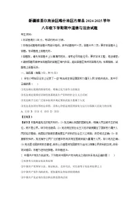 新疆维吾尔自治区喀什地区巴楚县2024-2025学年八年级下学期期中道德与法治试卷（解析版）