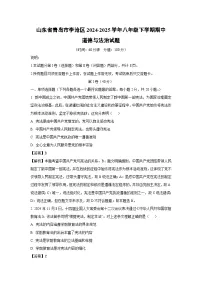 山东省青岛市李沧区 2024-2025学年八年级下学期期中道德与法治试卷（解析版）