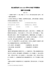 河北省邢台市2024-2025学年七年级下学期期末道德与法治试题（解析版）
