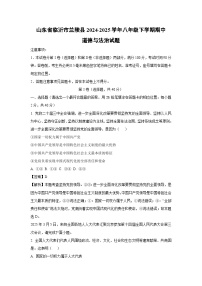 山东省临沂市兰陵县2024-2025学年八年级下学期期中道德与法治试题（解析版）