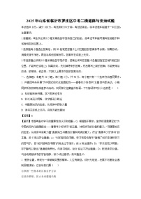 2025年山东省临沂市罗庄区中考二模道德与法治试题（解析版）