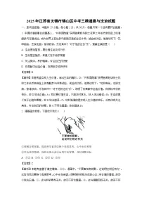 2025年江苏省无锡市锡山区中考三模道德与法治试题（解析版）