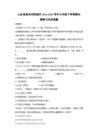 山东省泰安市肥城市2024-2025学年七年级下学期期末道德与法治试题