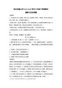 四川省眉山市2024-2025学年八年级下学期期末道德与法治试题（解析版）
