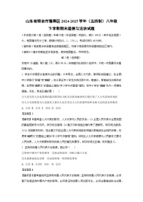 山东省烟台市蓬莱区2024-2025学年（五四制）八年级下学期期末道德与法治试题（解析版）