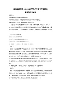 湖南省邵阳市2024-2025学年八年级下学期期末道德与法治试题（解析版）