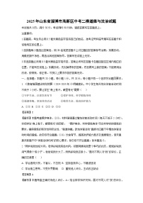 2025年山东省淄博市高新区中考二模道德与法治试题（解析版）
