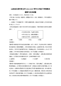 山西省吕梁市孝义市2024-2025学年七年级下学期期末道德与法治试题（解析版）