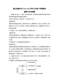 浙江省嘉兴市2024-2025学年七年级下学期期末道德与法治试题（解析版）