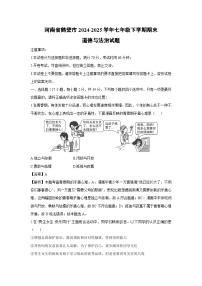 河南省鹤壁市2024-2025学年七年级下学期期末道德与法治试题（解析版）