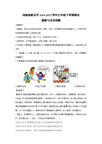 河南省新乡市2024-2025学年七年级下学期期末道德与法治试题（解析版）