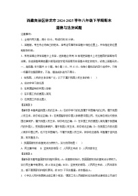 西藏自治区林芝市2024-2025学年八年级下学期期末道德与法治试卷（解析版）