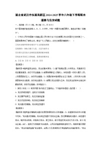 湖北省武汉市东湖高新区2024-2025学年八年级下学期期末道德与法治试卷（解析版）