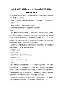 山东省临沂市临沭县2024-2025学年八年级下学期期中道德与法治试题（解析版）