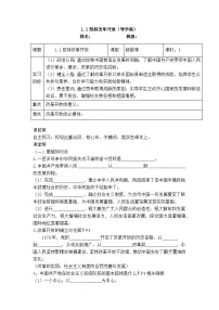 初中政治 (道德与法治)人教版(2024)九年级上册坚持改革开放导学案