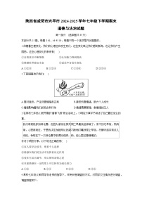 陕西省咸阳市兴平市2024-2025学年七年级下学期期末道德与法治试卷