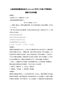 云南省楚雄彝族自治州2024-2025学年八年级下学期期末道德与法治试卷（解析版）