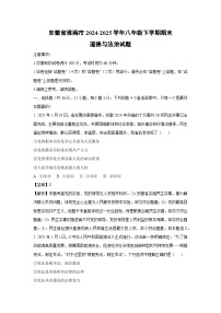 安徽省淮南市2024-2025学年八年级下学期期末道德与法治试卷（解析版）