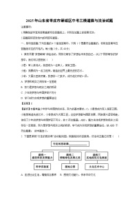 2025年山东省枣庄市峄城区中考三模道德与法治试卷（解析版）