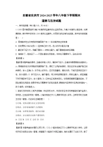 安徽省安庆市2024-2025学年八年级下学期期末道德与法治试题（解析版）
