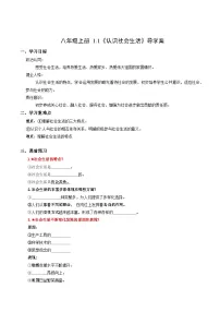 人教版（2024）八年级上册（2024）认识社会生活学案