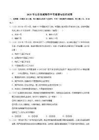 2025年山东省威海市中考道德与法治试卷附答案