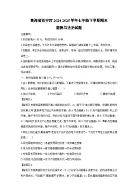 青海省西宁市2024-2025学年七年级下学期期末道德与法治试卷（解析版）