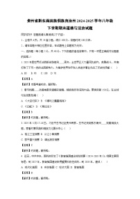 贵州省黔东南苗族侗族自治州2024-2025学年八年级下学期期末道德与法治试卷（解析版）
