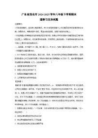 广东省茂名市2024-2025学年八年级下学期期末道德与法治试卷（解析版）