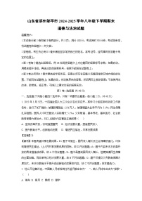 山东省滨州邹平市2024-2025学年八年级下学期期末道德与法治试卷（解析版）