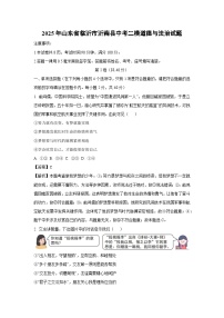 2025年山东省临沂市沂南县中考二模道德与法治试卷（解析版）