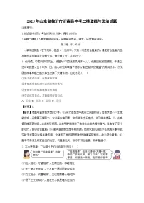 2025年山东省临沂市沂南县中考二模道德与法治试卷（解析版）