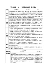 人教版（2024）认识国家安全教学设计