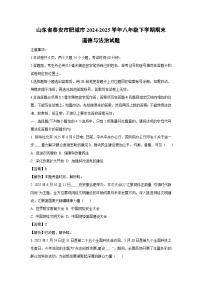 山东省泰安市肥城市2024-2025学年八年级下学期期末道德与法治试题（解析版）