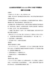 山东省泰安市肥城市2024-2025学年八年级下学期期末道德与法治试题（解析版）
