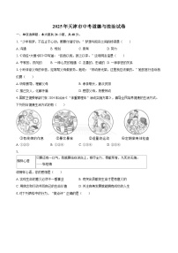 2025年天津市中考道德与法治试卷（含详细答案解析）