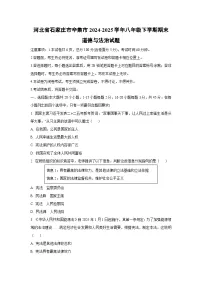 河北省石家庄市辛集市2024-2025学年八年级下学期期末道德与法治试卷（学生版）