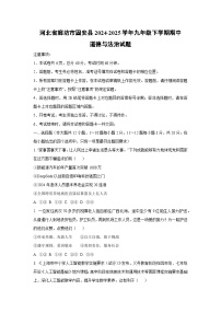 河北省廊坊市固安县2024-2025学年九年级下学期期中道德与法治试卷（学生版）