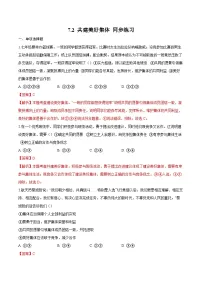 七年级上册（2024）第二单元 成长的时空第七课 在集体中成长共建美好集体同步练习题