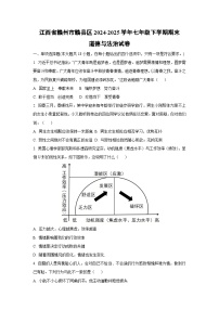 江西省赣州市赣县区2024-2025学年七年级下学期期末道德与法治试卷（学生版）