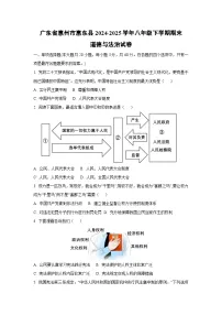 广东省惠州市惠东县2024-2025学年八年级下学期期末道德与法治试卷（学生版）