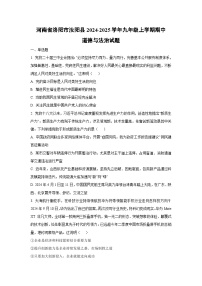 河南省洛阳市汝阳县2024-2025学年九年级上学期期中道德与法治试卷（学生版）