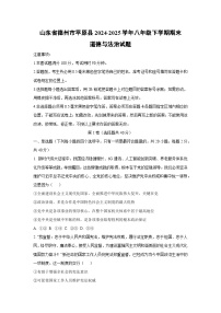 山东省德州市平原县 2024-2025学年八年级下学期期末道德与法治试卷（学生版）