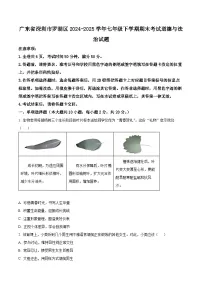 精品解析：广东省深圳市罗湖区2024-2025学年七年级下学期期末考试道德与法治试题含答案