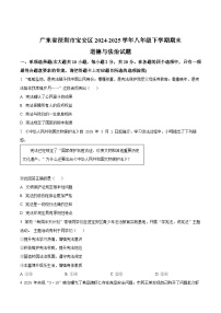 精品解析：广东省深圳市宝安区2024-2025学年八年级下学期期末道德与法治试题 含答案