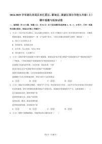 2024-2025学年湖北省武汉市江夏区、蔡甸区、黄陂区部分学校九年级（上）期中道德与法治试卷