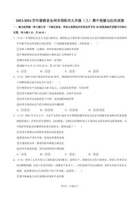2023-2024学年湖南省永州市祁阳市九年级（上）期中道德与法治试卷