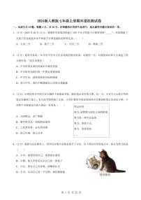 2024版人教版七年级上册期末道法测试卷含答案