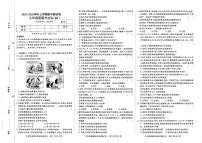 河南省商丘市睢县2025-2026学年九年级上学期11月期中道德与法治试题